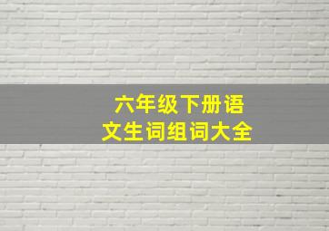 六年级下册语文生词组词大全