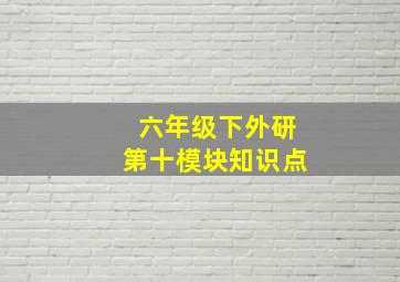 六年级下外研第十模块知识点