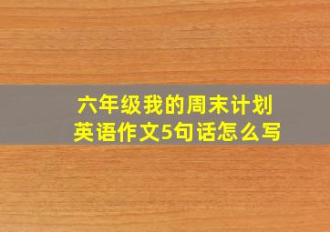 六年级我的周末计划英语作文5句话怎么写