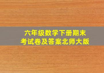 六年级数学下册期末考试卷及答案北师大版