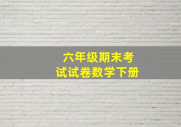 六年级期末考试试卷数学下册