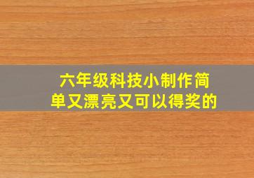 六年级科技小制作简单又漂亮又可以得奖的