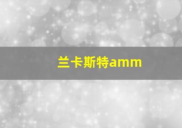 兰卡斯特amm