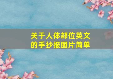 关于人体部位英文的手抄报图片简单