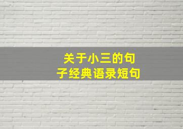 关于小三的句子经典语录短句