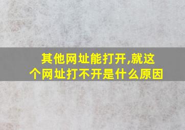 其他网址能打开,就这个网址打不开是什么原因