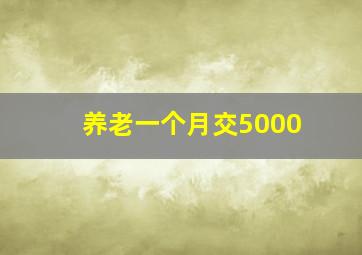 养老一个月交5000