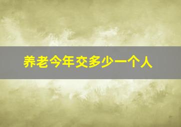 养老今年交多少一个人