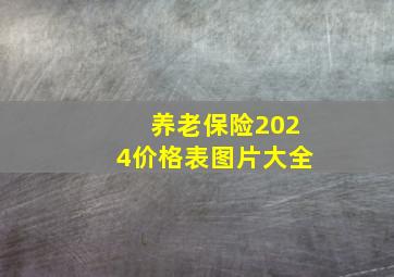 养老保险2024价格表图片大全