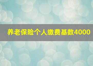 养老保险个人缴费基数4000