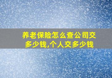 养老保险怎么查公司交多少钱,个人交多少钱