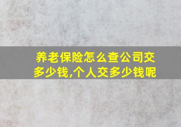 养老保险怎么查公司交多少钱,个人交多少钱呢