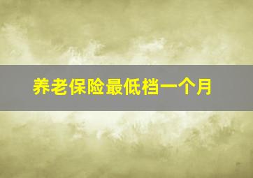 养老保险最低档一个月