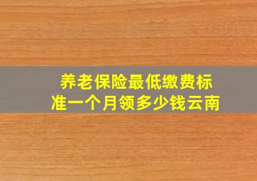 养老保险最低缴费标准一个月领多少钱云南