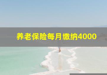 养老保险每月缴纳4000