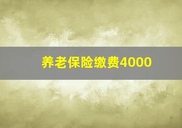 养老保险缴费4000