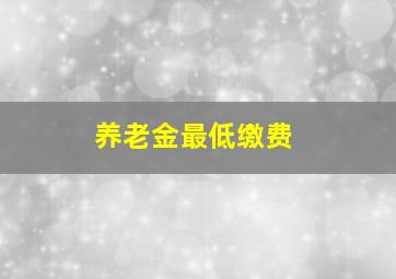 养老金最低缴费