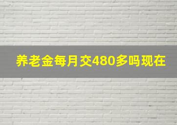 养老金每月交480多吗现在