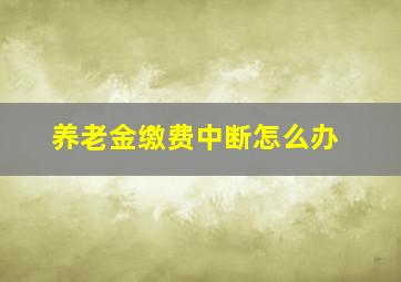 养老金缴费中断怎么办