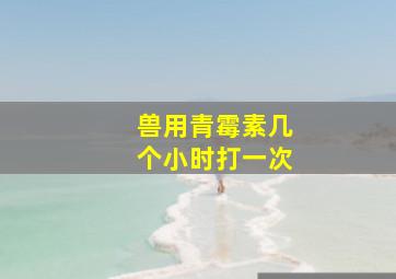 兽用青霉素几个小时打一次