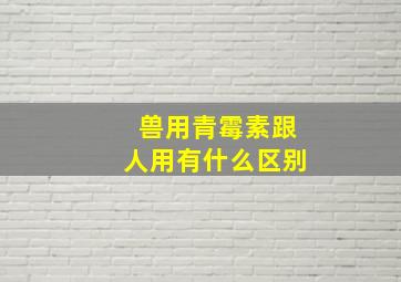 兽用青霉素跟人用有什么区别