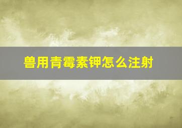 兽用青霉素钾怎么注射