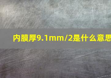 内膜厚9.1mm/2是什么意思