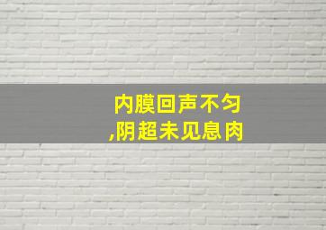 内膜回声不匀,阴超未见息肉