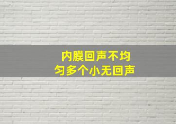 内膜回声不均匀多个小无回声