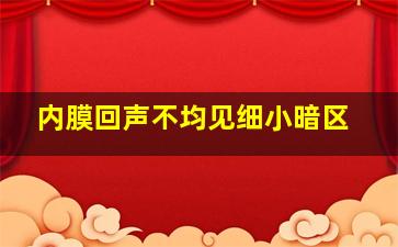 内膜回声不均见细小暗区