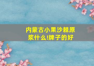 内蒙古小果沙棘原浆什么!牌子的好