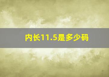 内长11.5是多少码