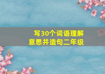 写30个词语理解意思并造句二年级