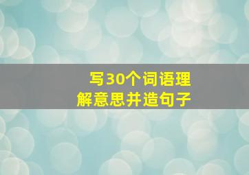 写30个词语理解意思并造句子