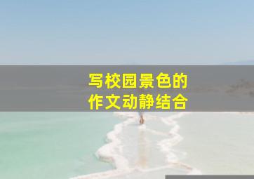 写校园景色的作文动静结合