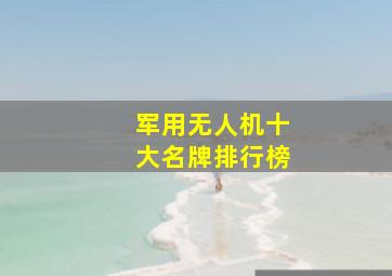 军用无人机十大名牌排行榜