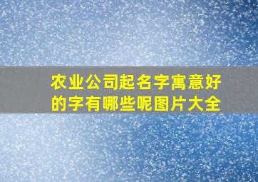 农业公司起名字寓意好的字有哪些呢图片大全