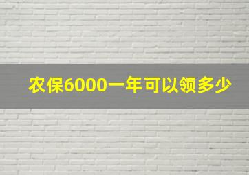 农保6000一年可以领多少