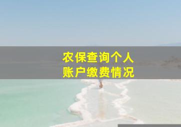 农保查询个人账户缴费情况