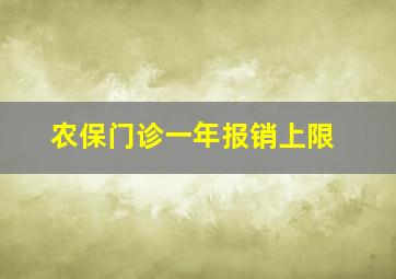 农保门诊一年报销上限