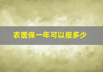 农医保一年可以报多少