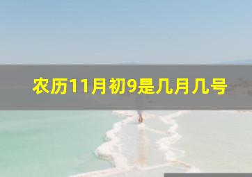 农历11月初9是几月几号