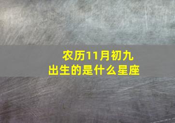 农历11月初九出生的是什么星座