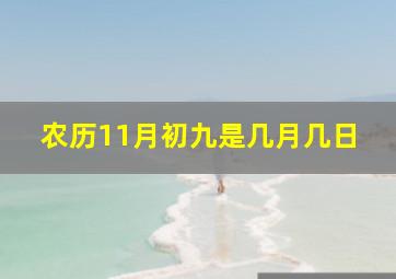 农历11月初九是几月几日