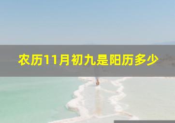 农历11月初九是阳历多少