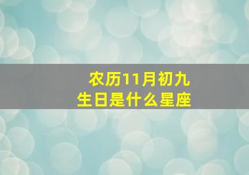 农历11月初九生日是什么星座