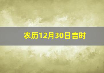 农历12月30日吉时