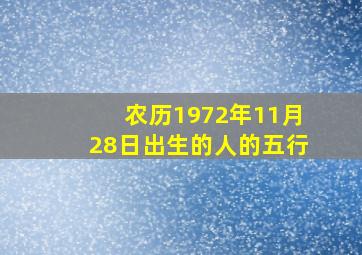 农历1972年11月28日出生的人的五行