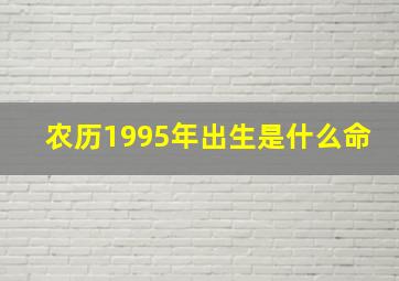 农历1995年出生是什么命