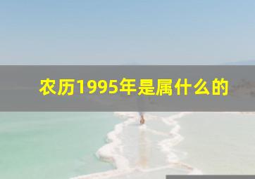 农历1995年是属什么的